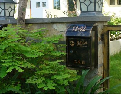 Google 圖片搜索 的結果